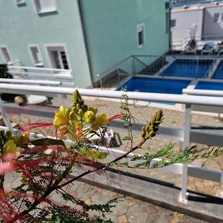 Iva Apartment